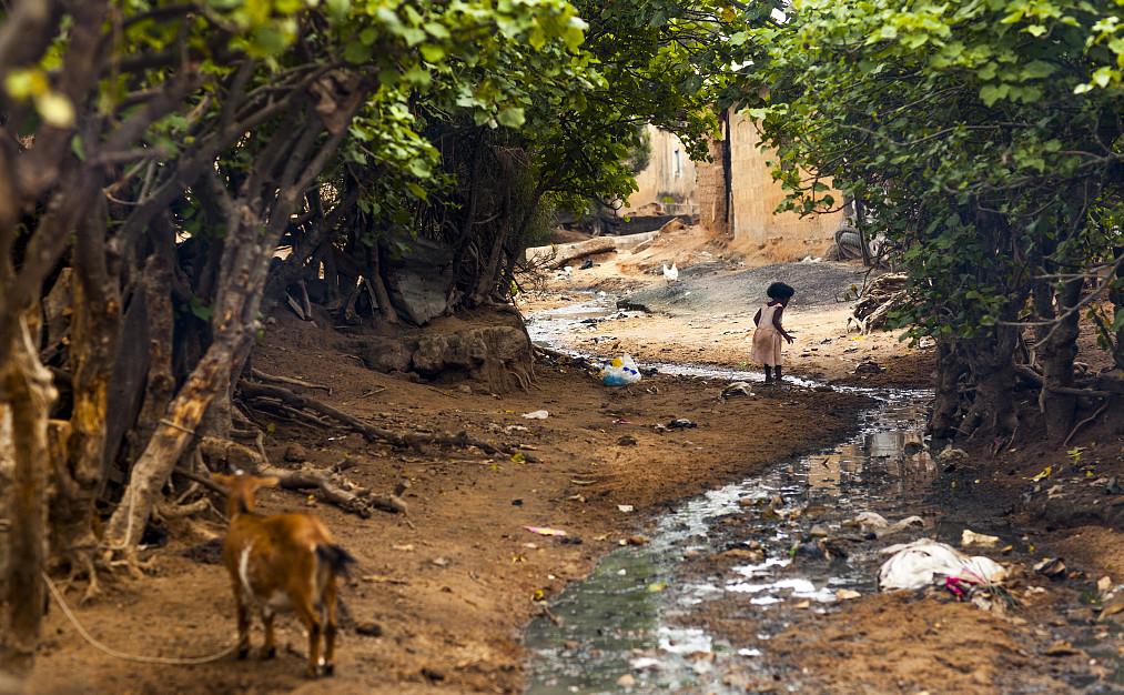 尊龙凯时(中国)人生就是搏! 官网