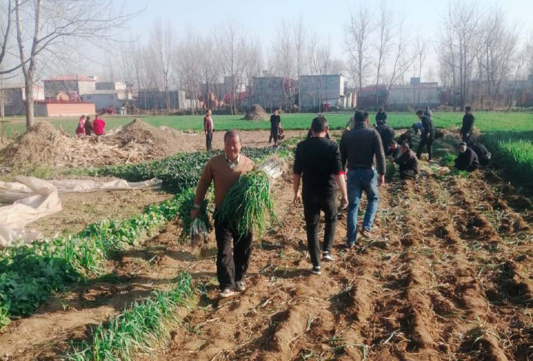 尊龙凯时(中国)人生就是搏! 官网