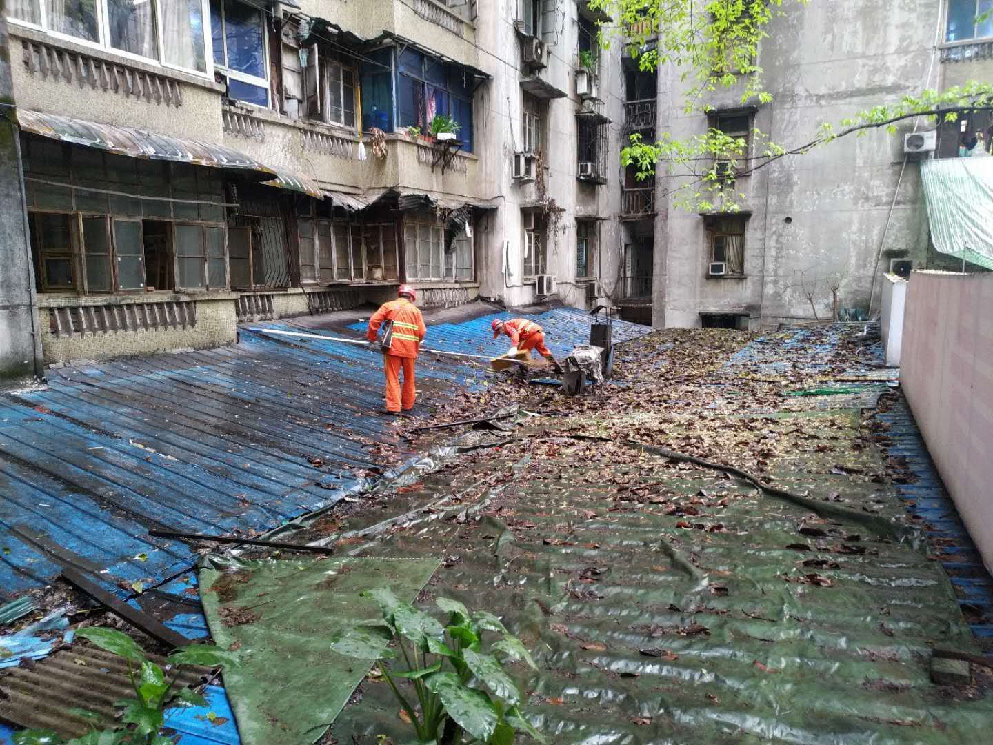 尊龙凯时(中国)人生就是搏! 官网